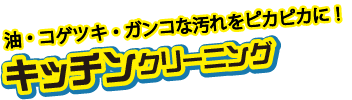 油、焦げ付き、ガンコな汚れをピカピカに。キッチンクリーニング