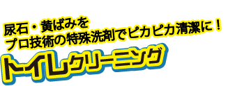 尿石、黄ばみをプロの技術でピカピカ清潔に。トイレクリーニング